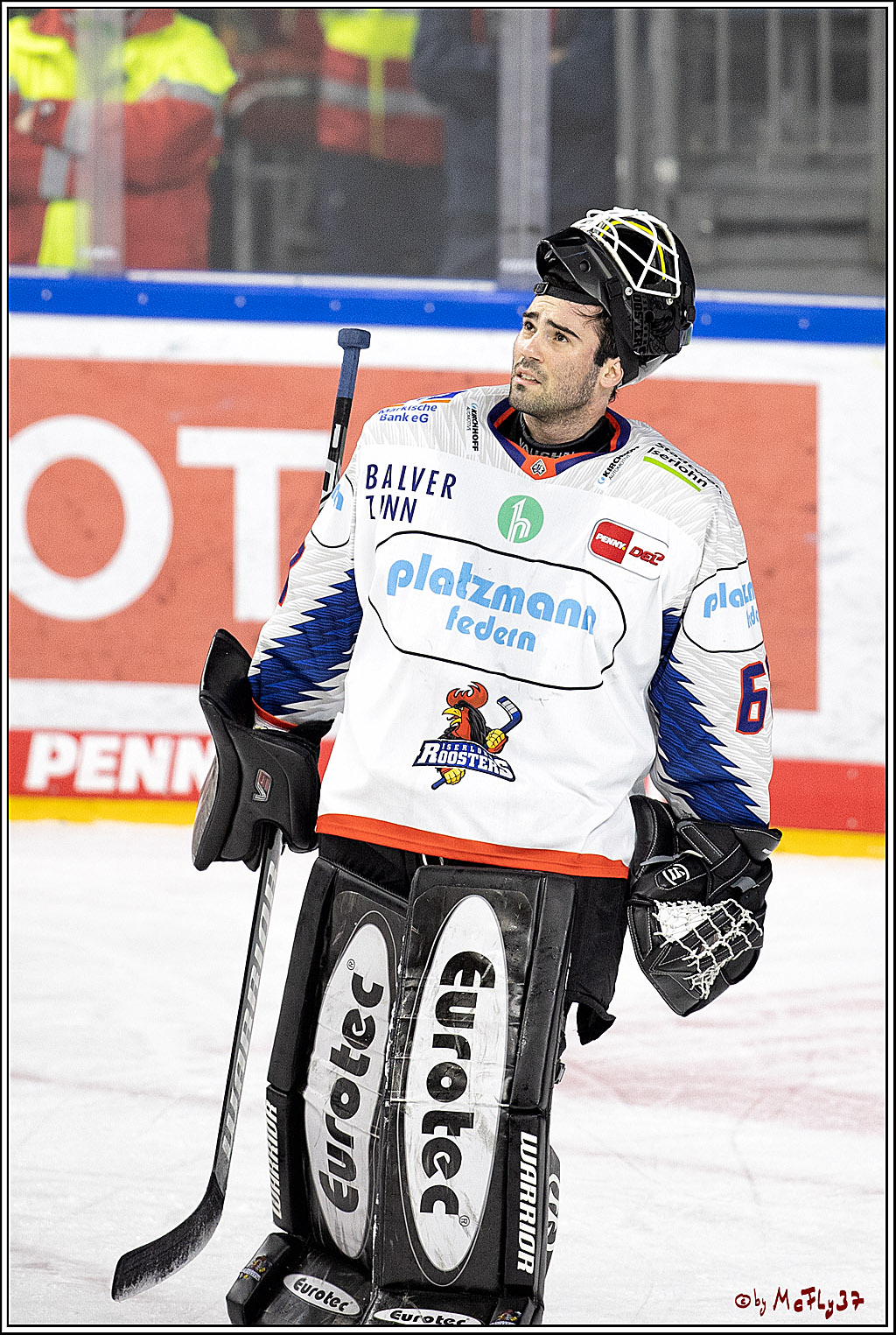 PENNY DEL;  Koelner Haie - Iserlohn Roosters; Koeln, 20.02.2022
